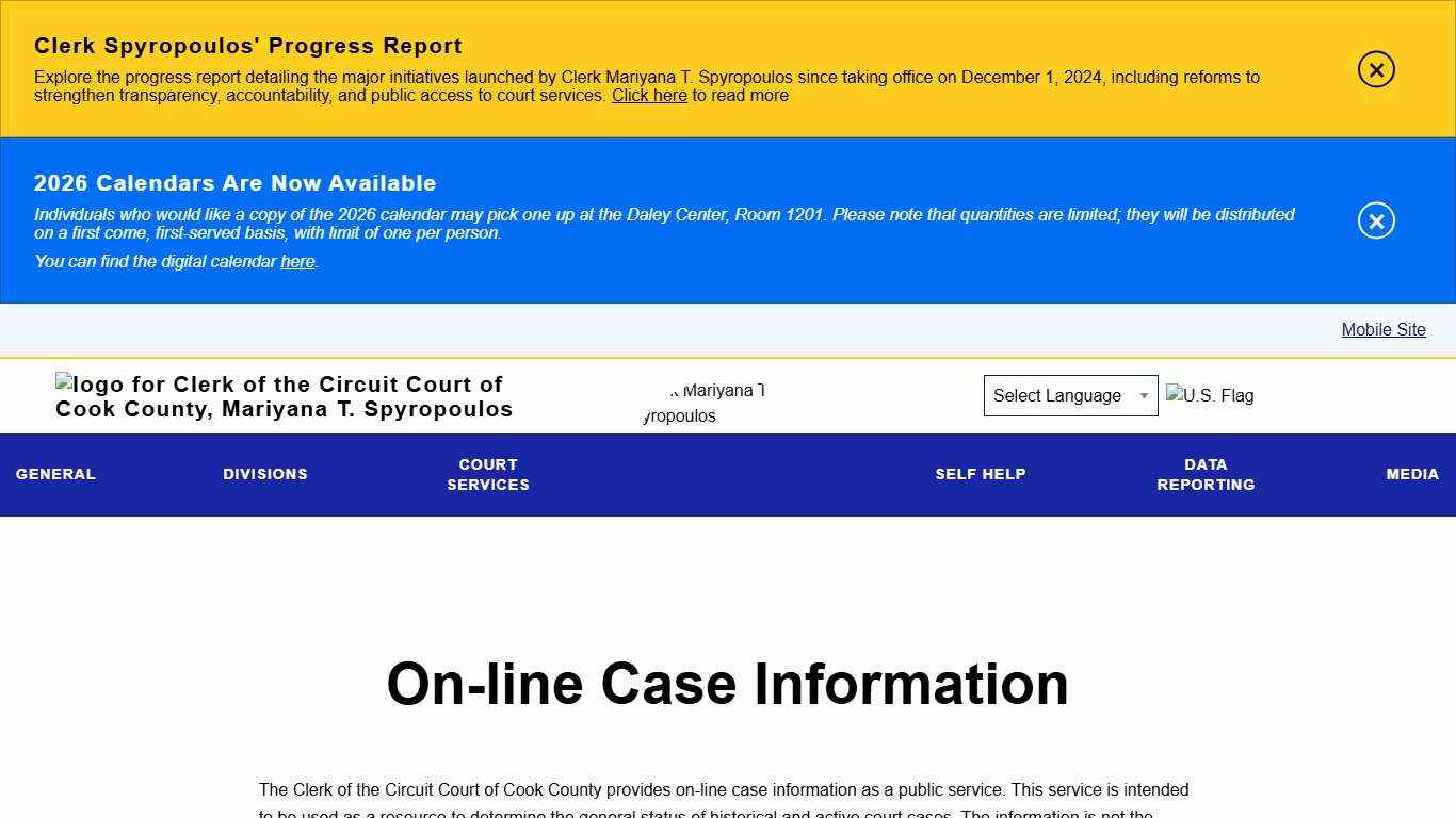 On-line Case Information | Clerk of the Circuit Court of Cook County